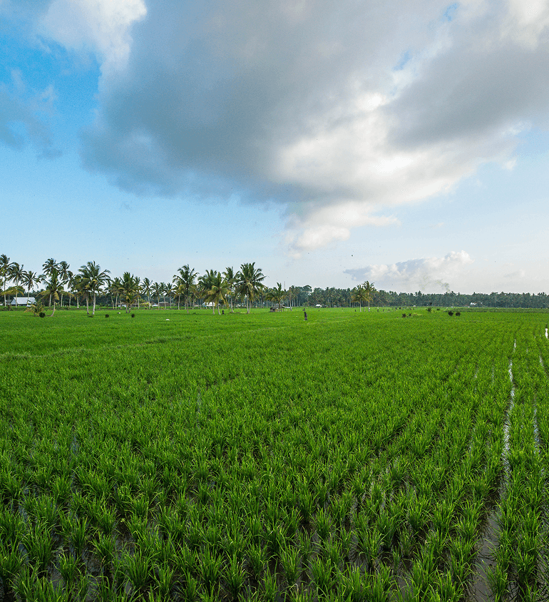 Precision Agriculture with Smart Drone Spraying Solutions