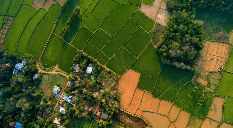 Elevating Visual Storytelling Through Aerial Creativity