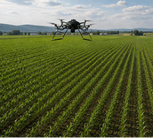 Drone flying over Field