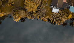Top View Image
